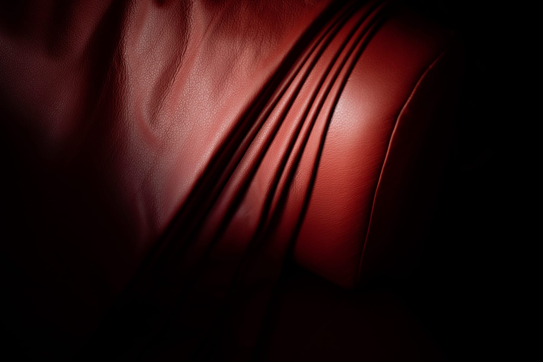 Artisanal leathercraft and curated architectural hides